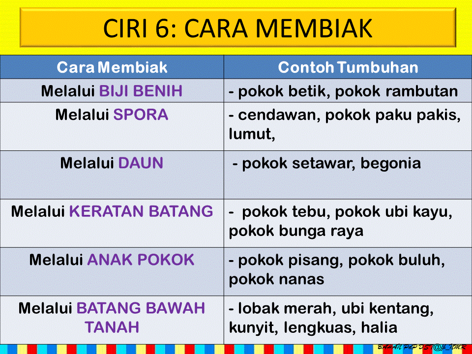 Dunia Sains dan Teknologi (Belajar dengan Ceria): DST 