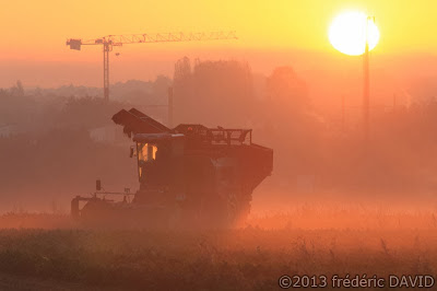 matin brume silhouette campagne tracteur moissonneuse soleil automne Sénart Seine-et-Marne