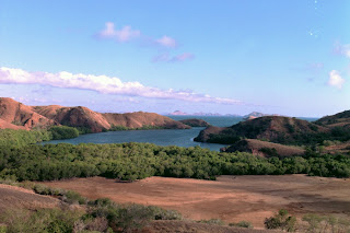 (Indonesia) – Komodo island – Walking with Dragons