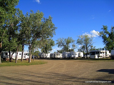 Our row at Green Valley