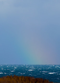 La esperanza siempre está presente y un atisbo de arco iris dió un respiro