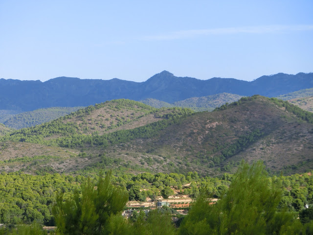 pico bellota desde codoval