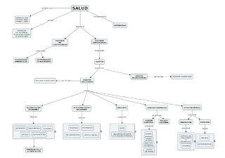 Mapa conceputal conceptos salud y pirámides alimentación y ejercicio