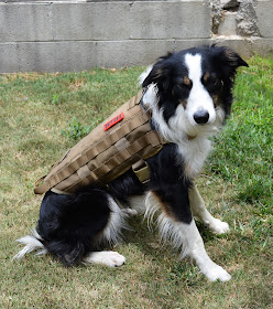 Tactical MOLLE customizable dog harness
