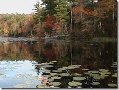 maine_kay_ 151