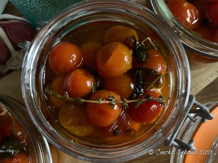 tomates-cenital