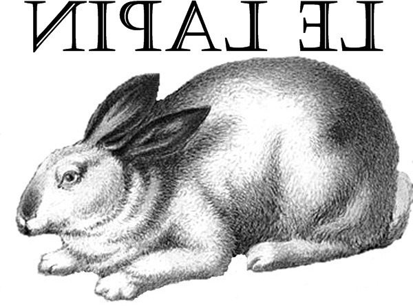 ballard bunny transfer