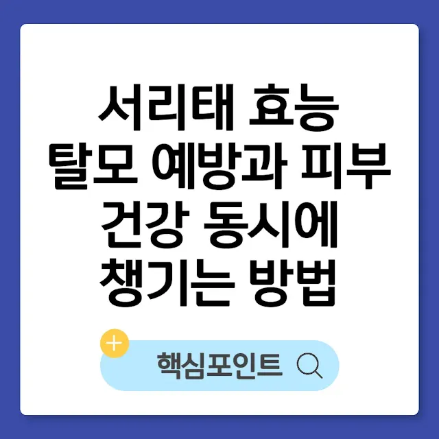 서리태 효능｜탈모 예방과 피부 건강 동시에 챙기는 방법 썸네일