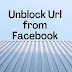 Unblock website url on Facebook complete Guidance | Google SEO