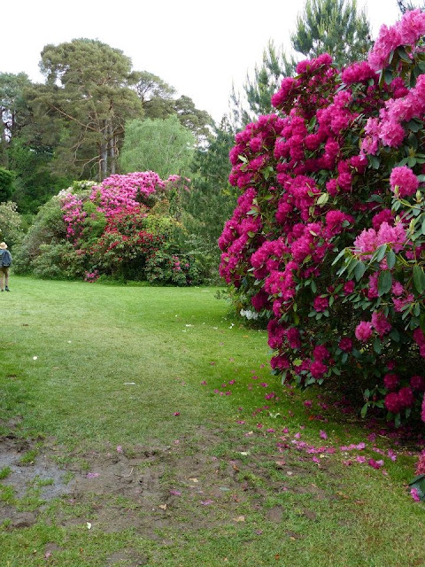 visite parc national de Killarney Irlande