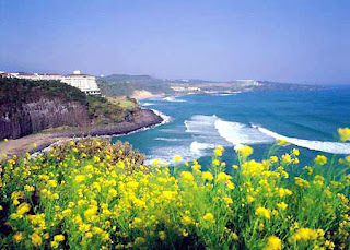Wind & stone in Jeju island – Island of the Gods