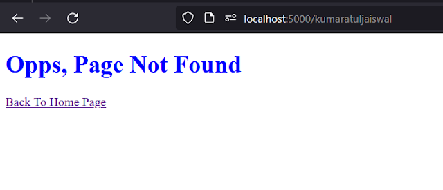 Make 404 page for user goes to invalid page