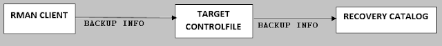 Oracle database rman recovery catalog, controlfile, transfer backup information or metadata from rman client to recovery catalog