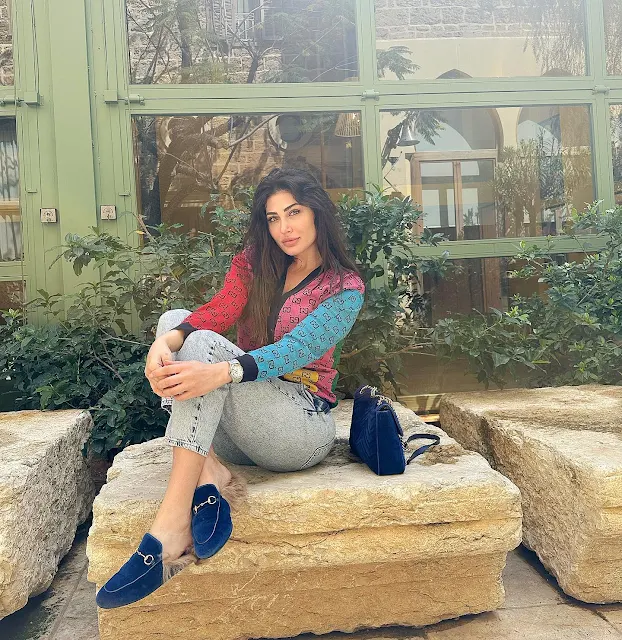 هبة نور ويكبيديا hebanourr