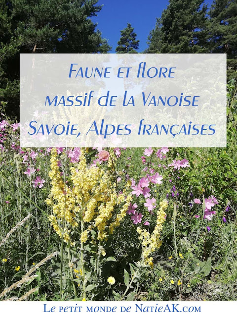 Savoie : faune et flore