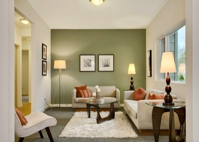  Paint  Colors for Living  Room  Accent  Wall 