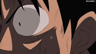 ワンピースアニメ インペルダウン編 446話 ルフィ Monkey D. Luffy | ONE PIECE Episode 446