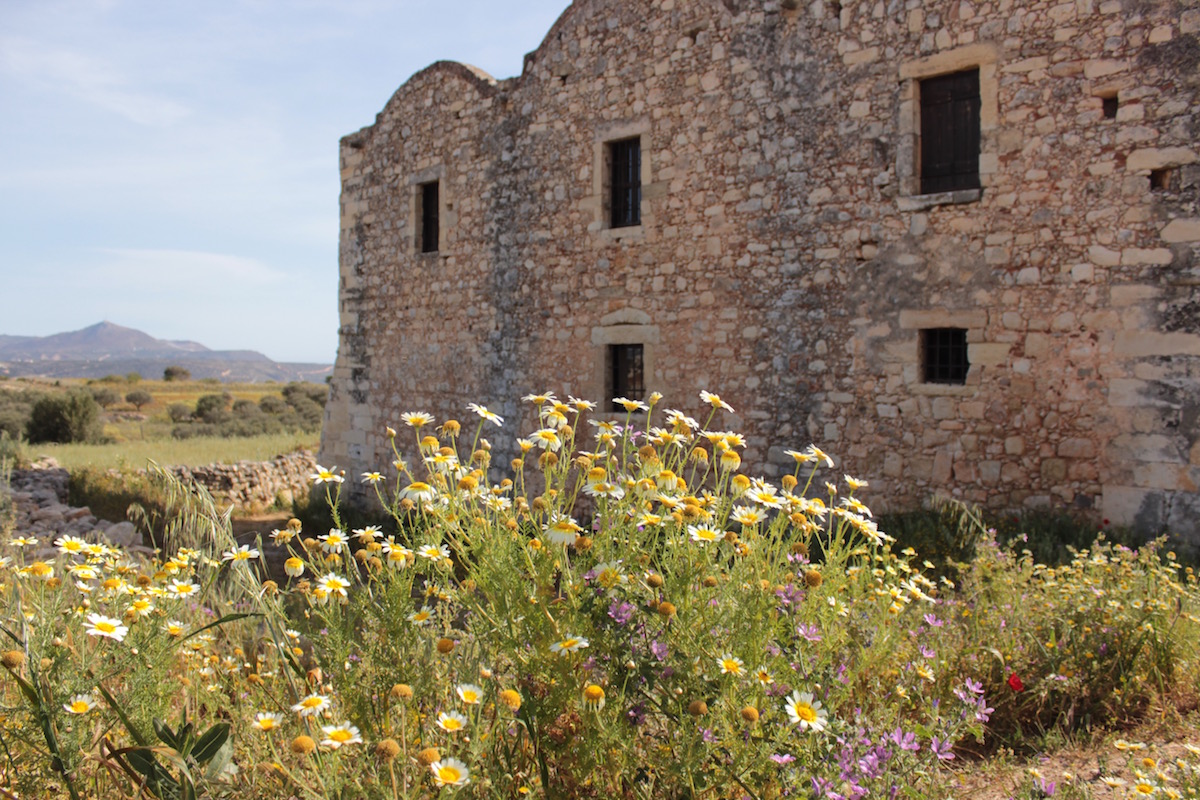 Tages-Tour Akrotiri: Aptera, Agia Triada Kloster, Karibik Bucht, Chania