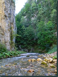 DSCN4947