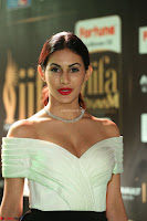 Amyra Dastur in White Deep neck Top and Black Skirt ~  Exclusive 029.JPG