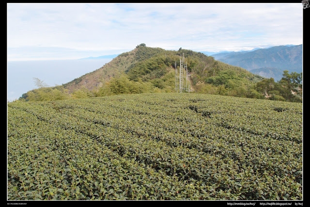 2019-01-01雲林古坑華山-龜仔頭-二尖山唬爛亭-小百岳大尖山