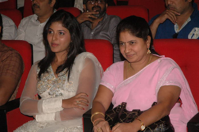 ‘Mega Star’ Launch Shopping Mall Audio film pics