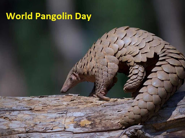 विश्व पैंगोलिन दिवस : इतिहास उद्देश्य महत्व | World Pangolin day 2023