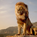 The Lion king full movie in HD.