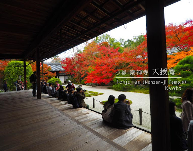 京都 南禅寺･天授庵：方丈前庭の紅葉