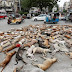Hundreds Of Stray Dogs Poisoned In Pakistan (Photos)
