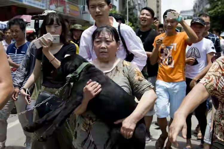 Chinese Dog Eating Festival In Yulin Holds Despite Protests