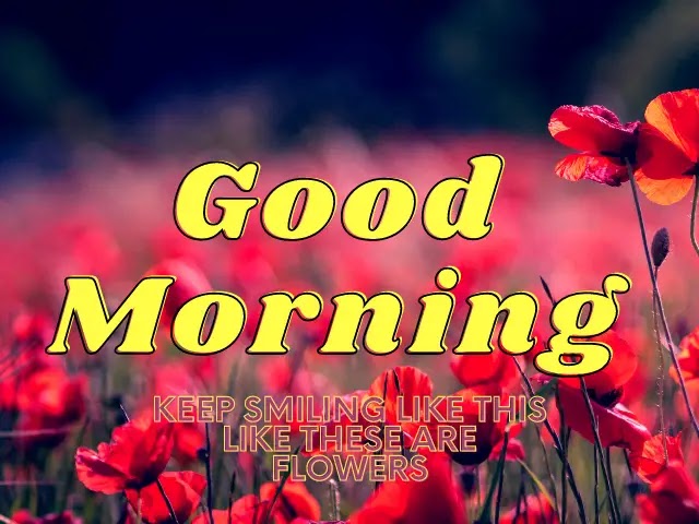 Good morning wishes in urdu images - Subha bakhair sms 2022