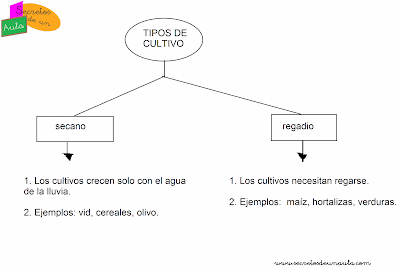 EL RINCÓN DE 3º PRIMARIA: ESQUEMA DEL SECTOR PRIMARIO: LA AGRICULTURA