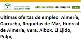 Almería, Lanzadera de Empleo Virtual