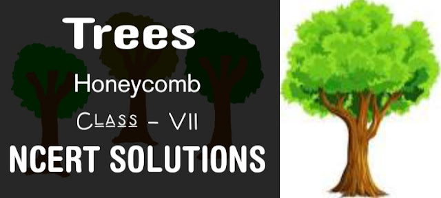 Trees Class 7 NCERT Solutions