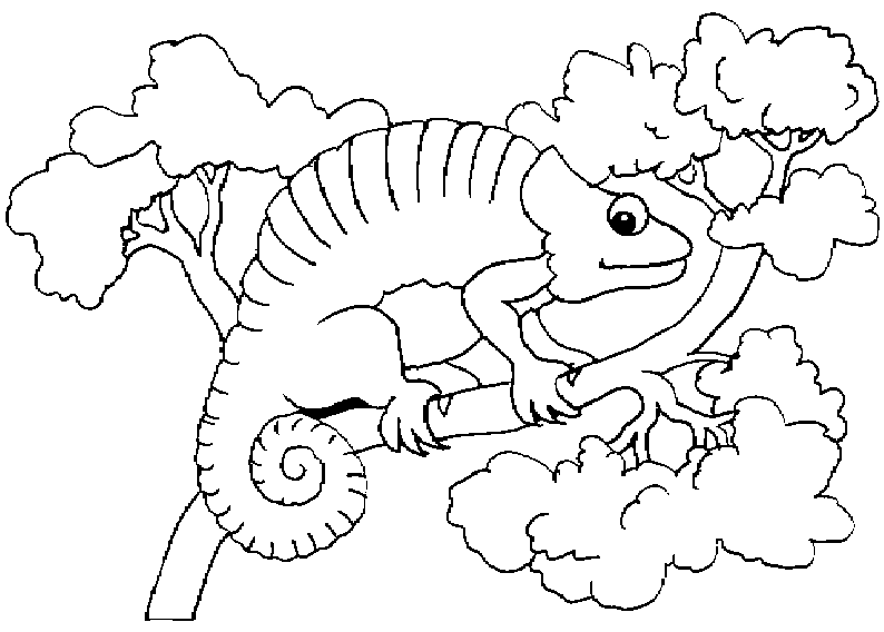 Chonmelon Coloring Pages 5