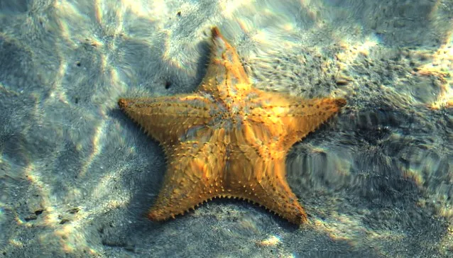 The Unexplored Unique Biodiversity of Haji Buang Sea Water Lake