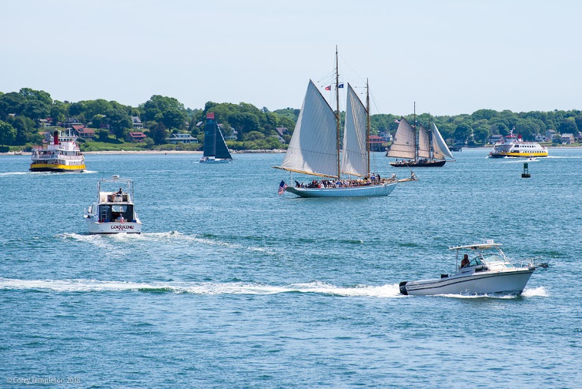 Portland, Maine USA June 2018 photo by Corey Templeton. Captured almost all the boats in Portland harbor in this photo from the end of the State Pier.