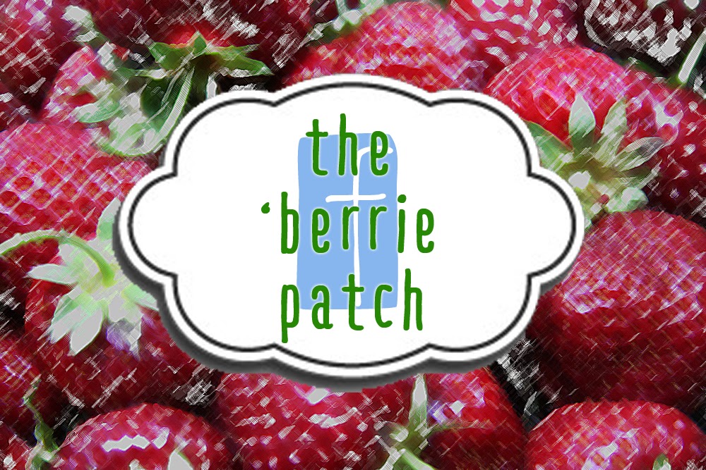 https://www.facebook.com/groups/TheberriePatch/