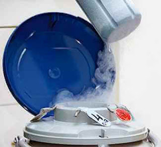 Sperm dondurma makinası