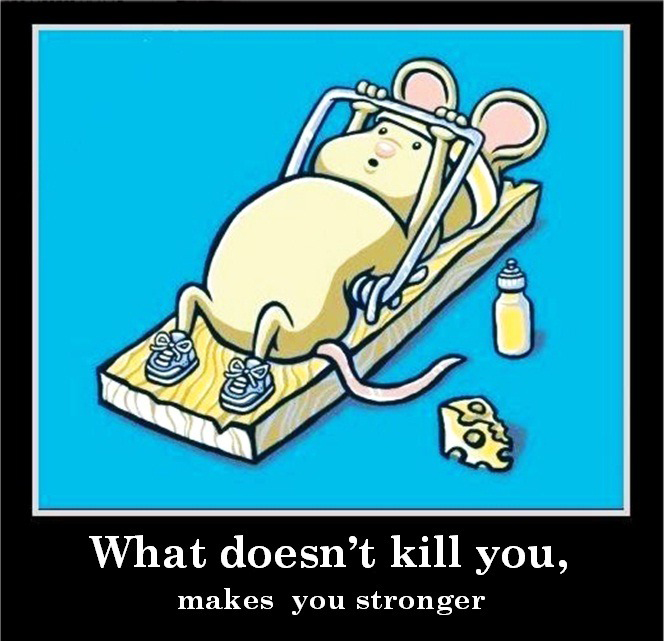 What Doesn't Kill You, Makes You Stronger