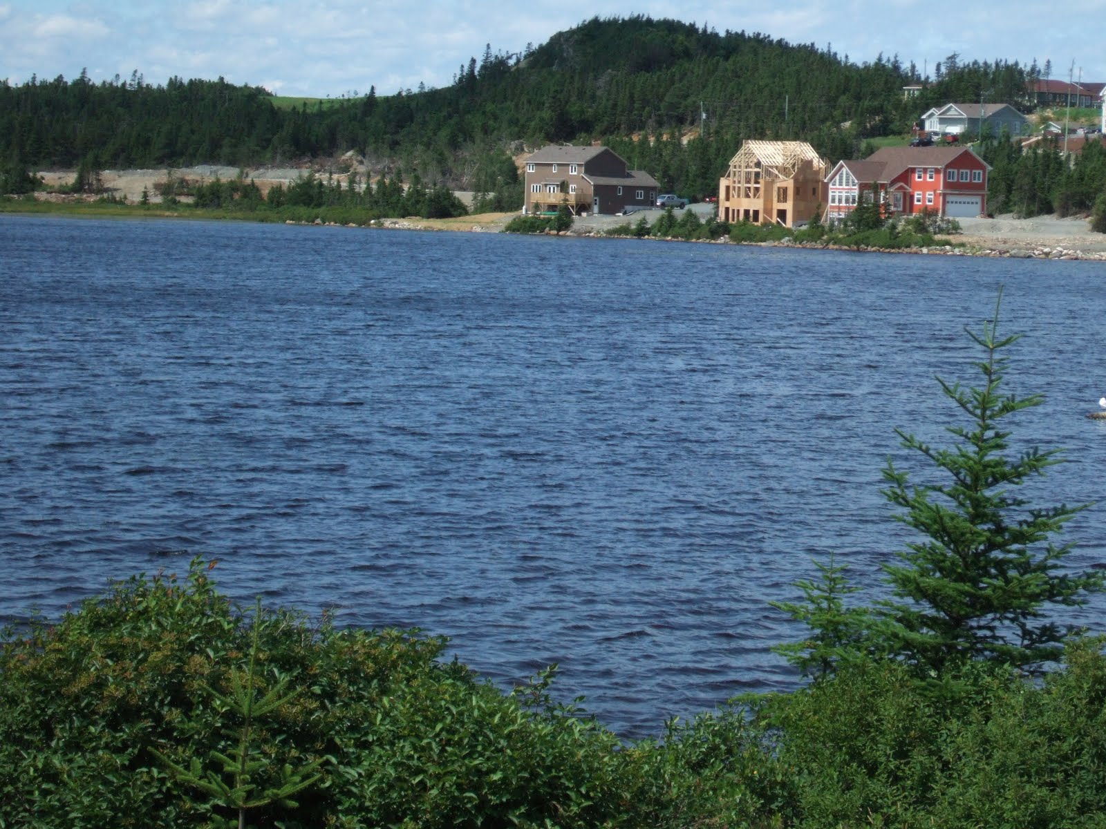 Newfoundland Scenery