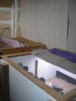 Canvas Tarps for Brooder Space