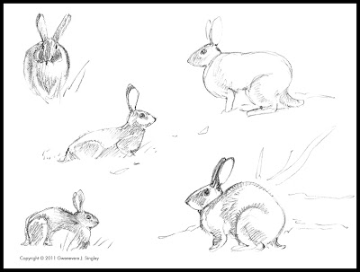 Rabbits