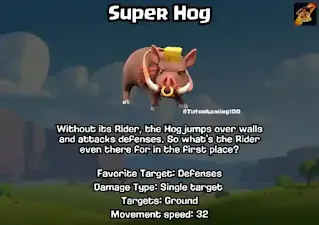 Super Hog info