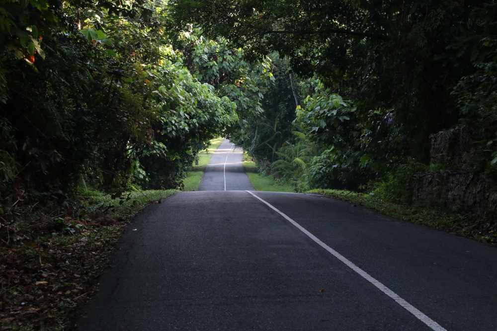 Kampung road