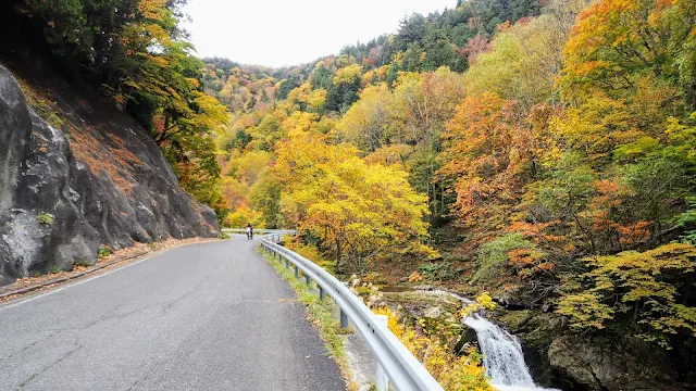 水上から奥利根湯けむり街道で紅葉の名所・照葉峡へ。坤六峠を越えて片品村を通り沼田まで走るサイクリングコース