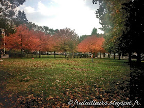 New York, Bronx parc automne