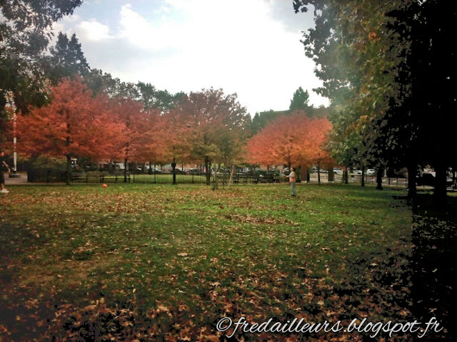 New York, Bronx parc automne