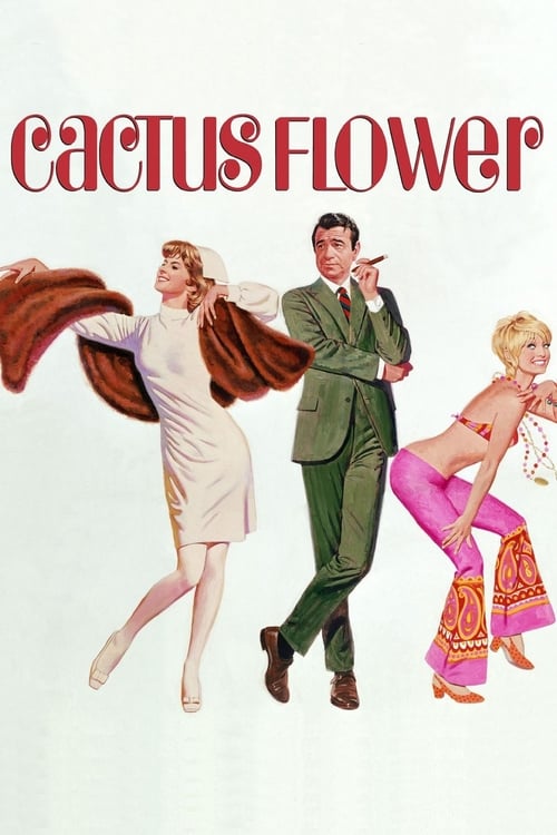 Ver Flor de cactus 1969 Pelicula Completa En Español Latino